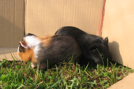 06.04.21.-Den Země a jarní fotky 015_crop.jpg